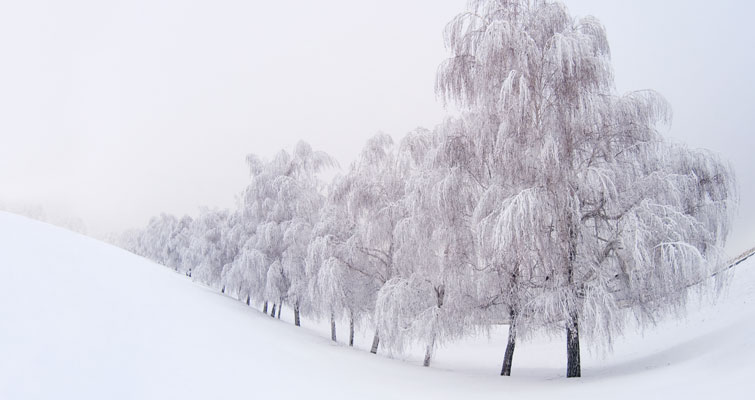 Milt vinterväder balanserar elpriserna (1)