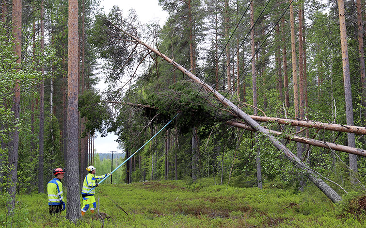 När stormen mojnat