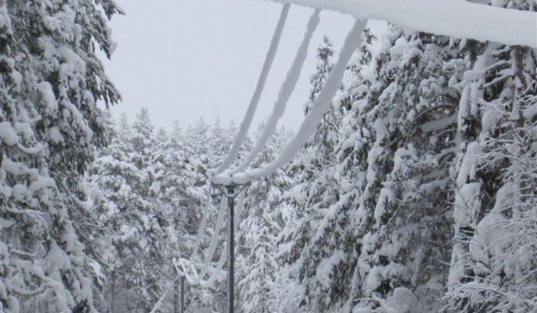 Tunga snö- och islaster i elnätet